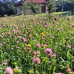 펜션 Korzenny