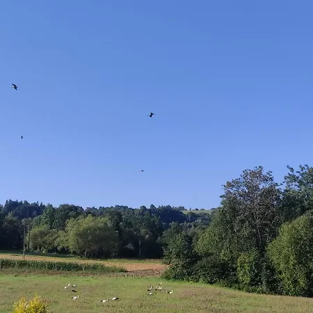 Dom wakacyjny Korzenny Korzenna
