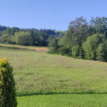 Korzenny Dom wakacyjny